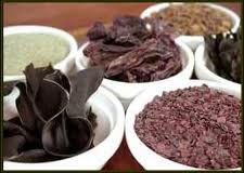 Super Seaweeds
